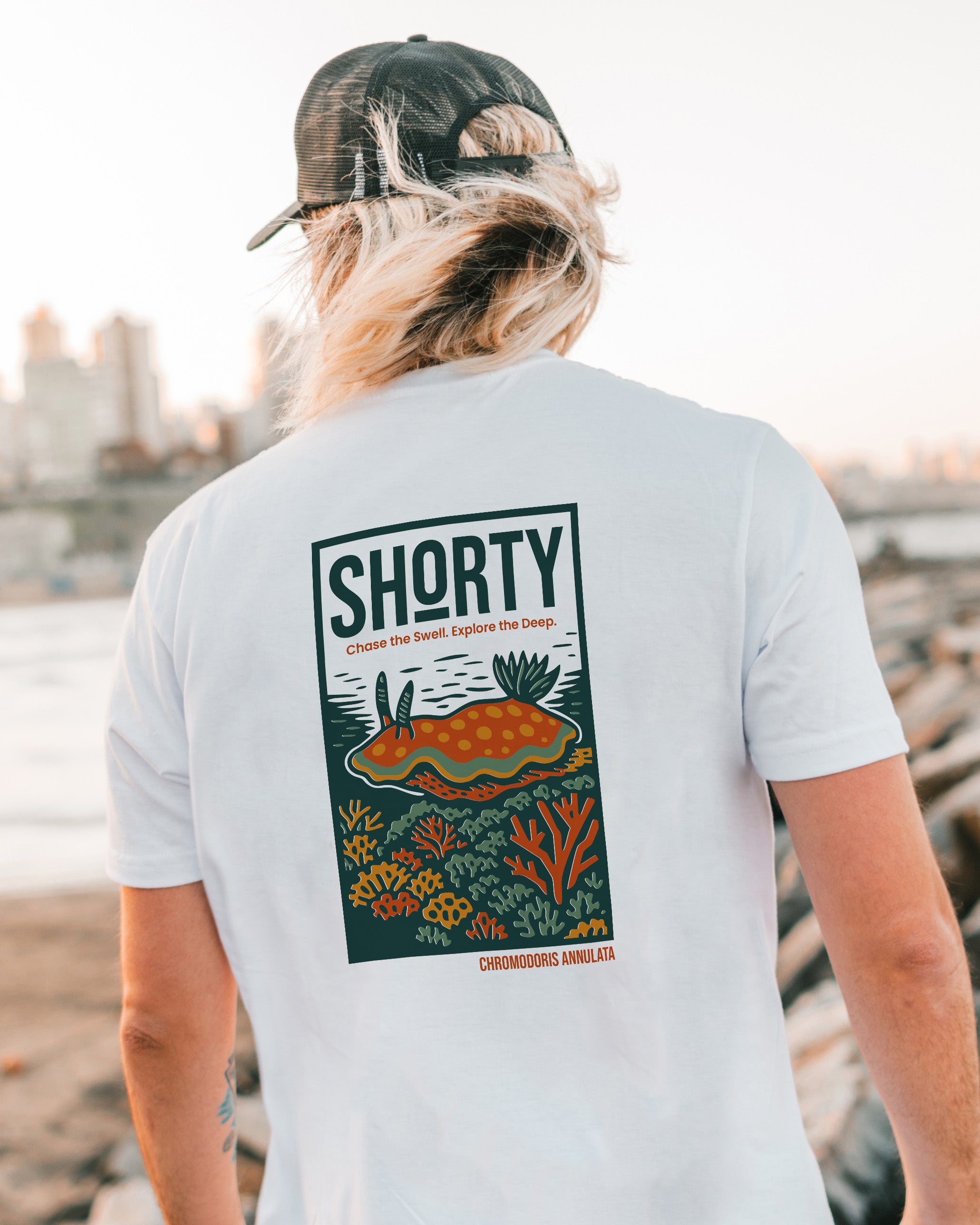 SHORTY Splash Comics - Chromodoris annulata